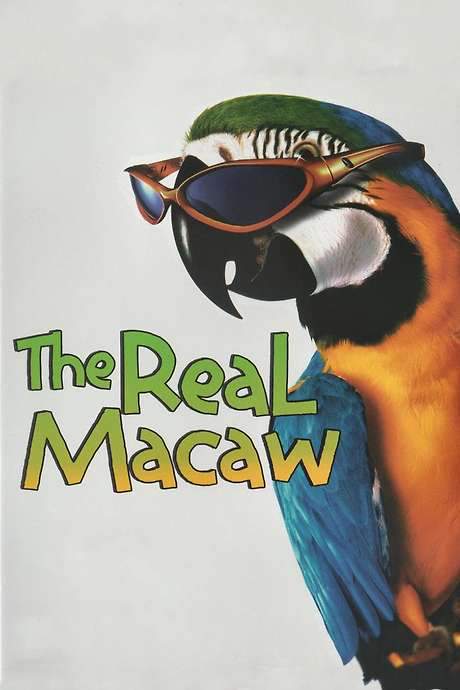 The Real Macaw